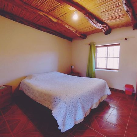 Penzion Suri Atacama - Eco H&T San Pedro de Atacama Exteriér fotografie